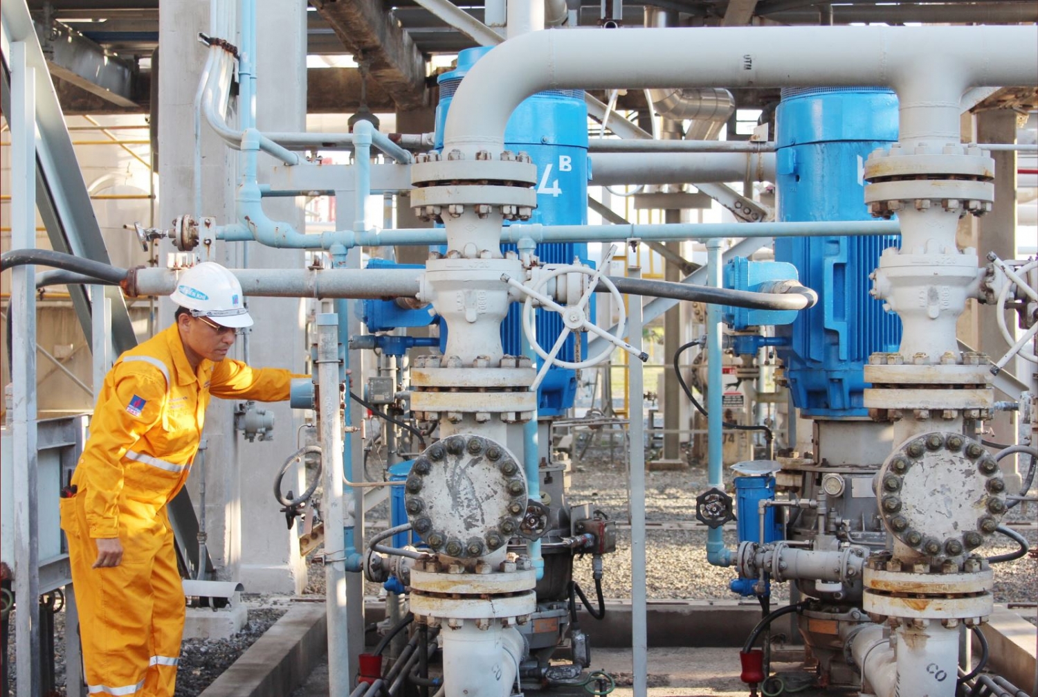 Thực thi thành công Chiến lược phát triển bền vững và chặng đường phát triển