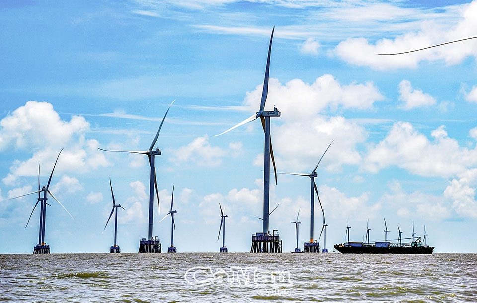 Cà Mau: Xanh xanh biển, đảo quê hương