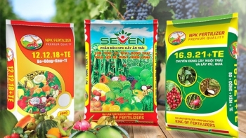 Giá phân bón hôm nay 5/6: Không có điều chỉnh mới