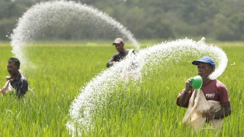 Giá phân bón hôm nay 6/6: Giao dịch không đổi