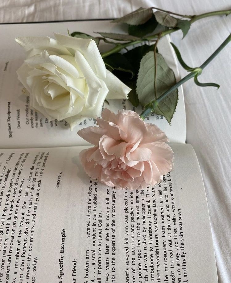 Tử vi 12 con giáp ngày 12/6/2022: Tuổi Tý cơ hội phát tài, tuổi Ngọ tài lộc lên xuống
