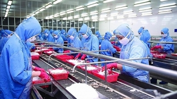 Khai thác tiềm năng, mở rộng thị phần xuất khẩu tại EU