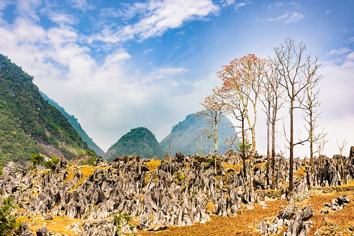 Tủa Chùa - Cô sơn nữ ẩn hiện giữa mây ngàn Tây Bắc