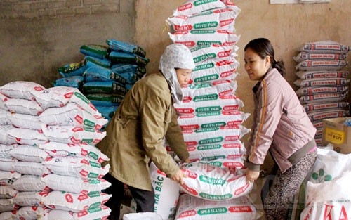 Giá phân bón hôm nay 18/6: Không có biến động