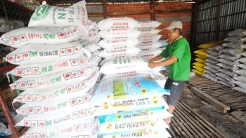 Giá phân bón hôm nay 17/6: Không có điều chỉnh