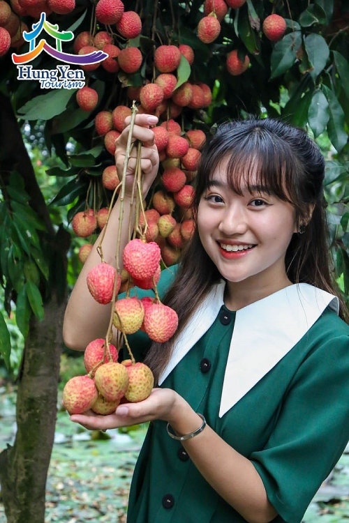 Vải trứng - món quà từ thiên nhiên