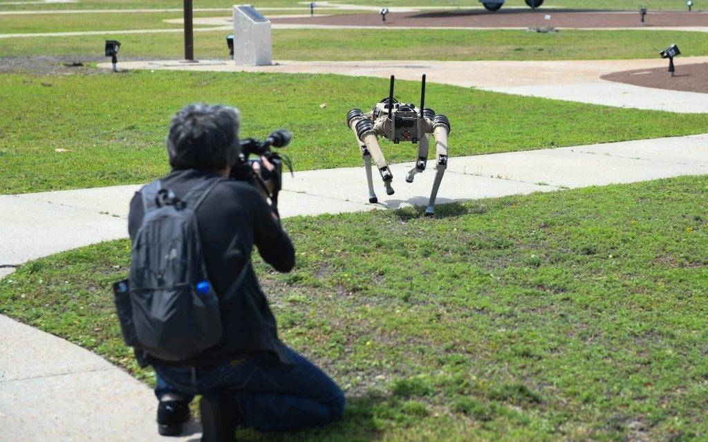 Chú chó robot đầu tiên trên thế giới có thể 