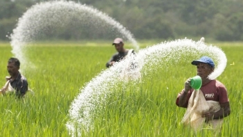 Giá phân bón hôm nay 21/6: Không có biến động