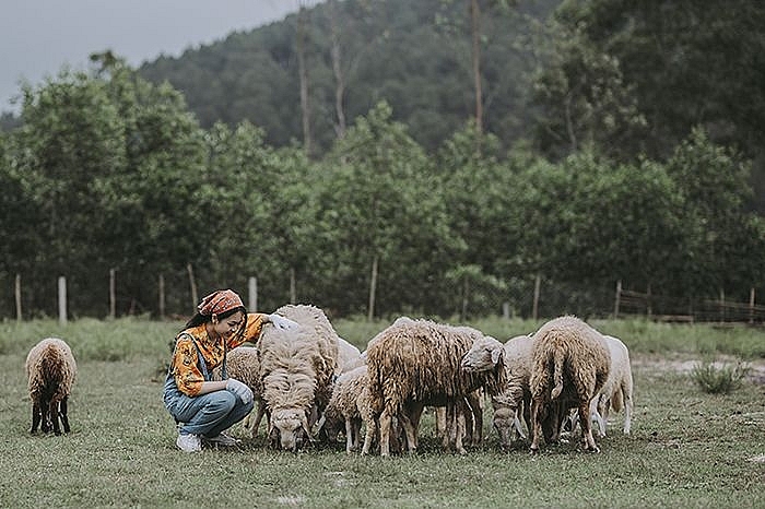 Khám phá điểm đến ngày hè – Đồng cừu ở Đồng Nai