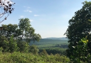 Long Khánh - Mùa trái chín