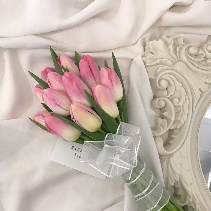Tử vi 12 con giáp ngày 25/6: