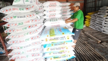 Giá phân bón hôm nay 25/6: Giao dịch ổn định