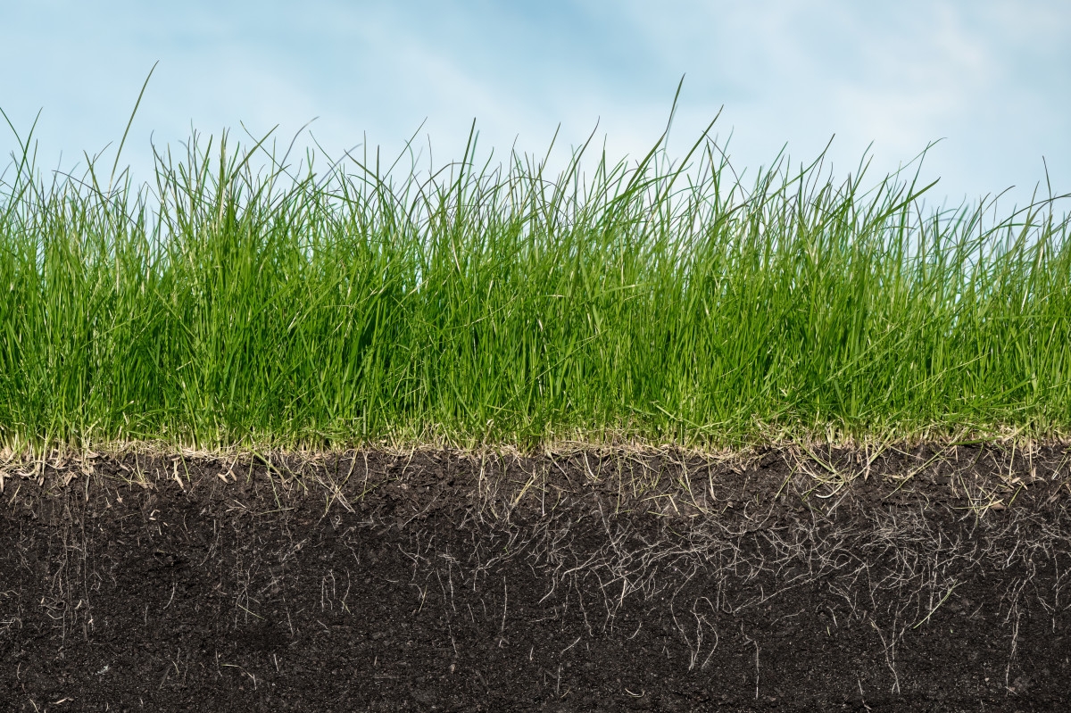 Canh tác carbon - Một trong những ưu tiên của chính sách nông nghiệp (Phần I)