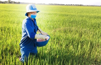 Thị trường phân bón nhiều biến động