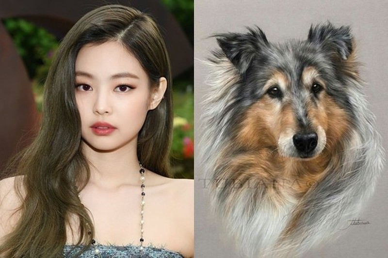 Tử vi 12 con giáp ngày 2/7/2022: Tuổi Ngọ hạn chế 'vung tay quá trán', tuổi Tuất có sự nghiệp mờ nhạt