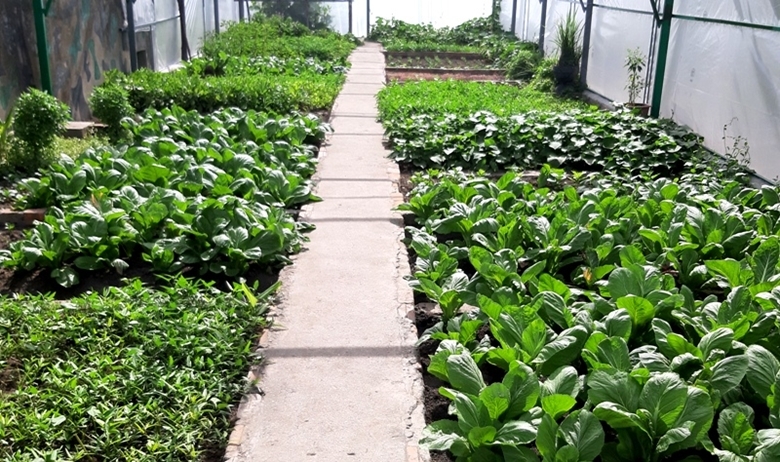 Đảo Sinh Tồn Đông - Điểm tựa vững chắc cho ngư dân bám biển