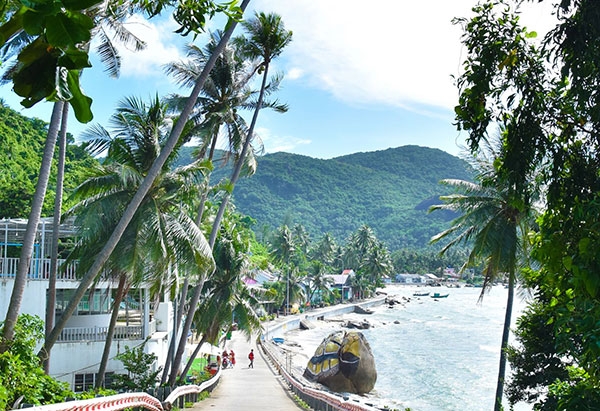 Lộc biển Hòn Sơn Lộc biển Hòn Sơn