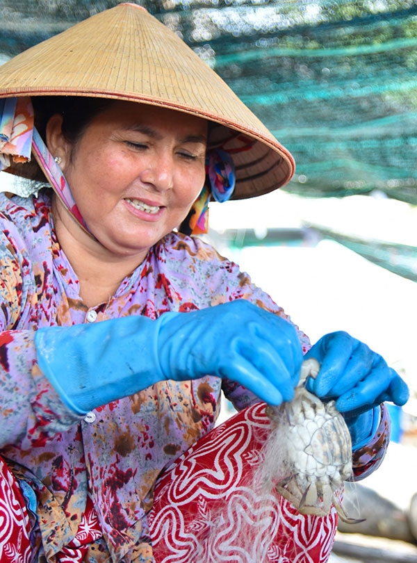 Lộc biển Hòn Sơn Lộc biển Hòn Sơn