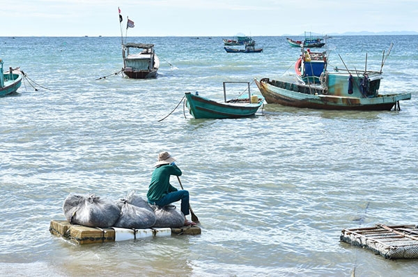 Lộc biển Hòn Sơn Lộc biển Hòn Sơn