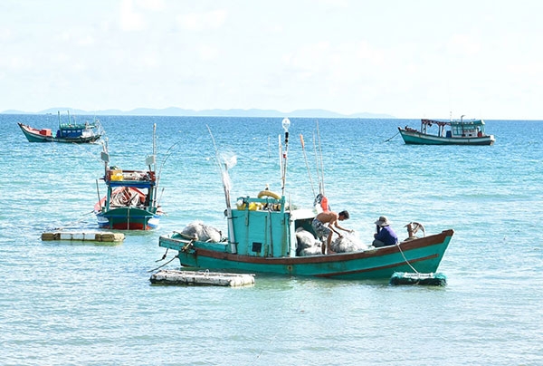 Lộc biển Hòn Sơn Lộc biển Hòn Sơn