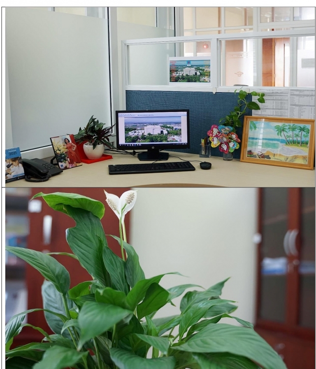 Phong trào 5S tại Trường Đại học Dầu khí Việt Nam PVU và phong trào