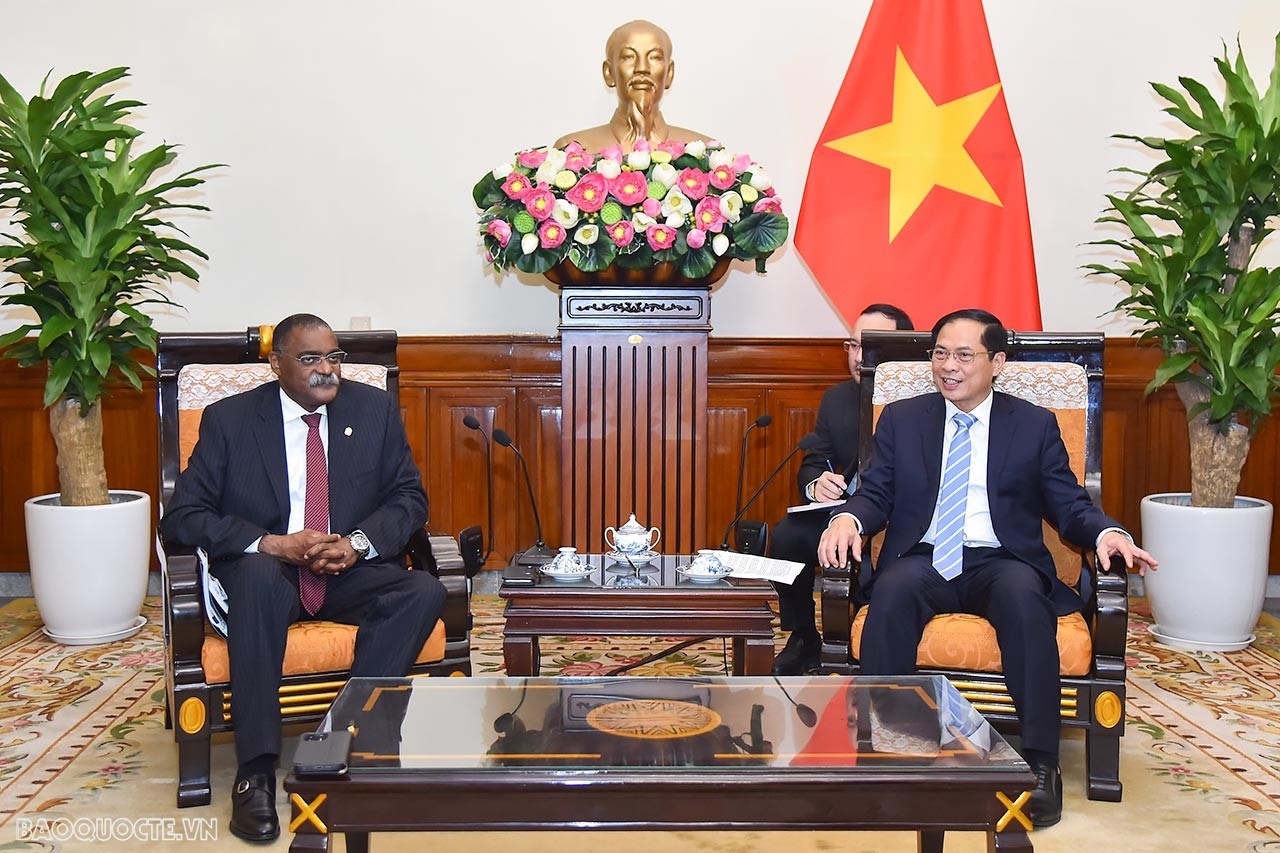 Bộ trưởng Ngoại giao Bùi Thanh Sơn tiếp Quốc vụ khanh Bộ Ngoại giao Angola Domingos Vieira Lopes. (Ảnh: Tuấn Anh)