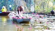 Trên dòng suối Yến