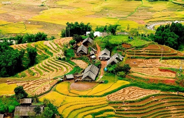 Bản Tả Van - Vùng đất bình yên của thị trấn mây mù Sa Pa