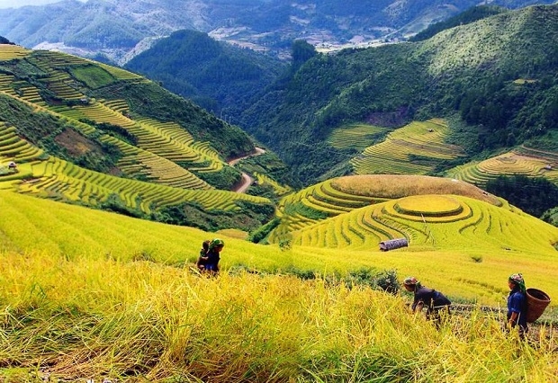 Bản Tả Van - Vùng đất bình yên của thị trấn mây mù Sa Pa