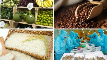 Tận dụng đối đa Hiệp định EVFTA, tăng cường xuất khẩu sang thị trường EU trong bối cảnh mới