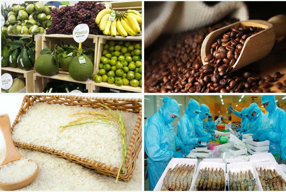 Tận dụng đối đa Hiệp định EVFTA, tăng cường xuất khẩu sang thị trường EU trong bối cảnh mới