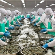 Tin tức kinh tế ngày 26/11: Xuất khẩu thủy sản lần đầu tiên vượt mốc 10 tỉ USD