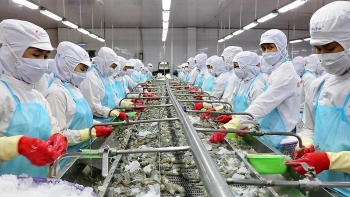 11 tháng, kim ngạch xuất khẩu thủy sản đạt gần 10 tỷ USD