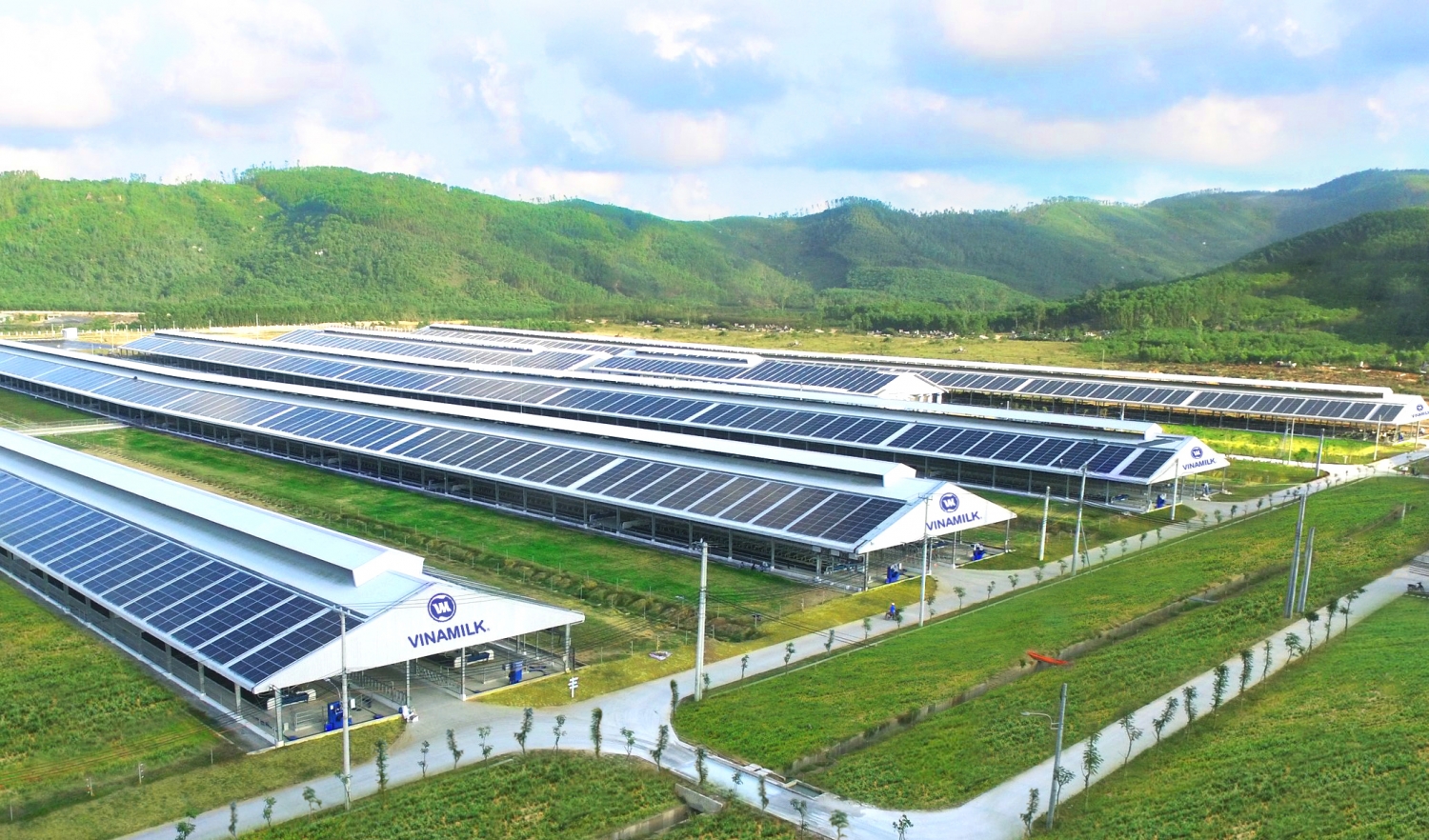 Vinamilk tiếp tục trồng cây xanh hướng đến mục tiêu Net Zero 2050