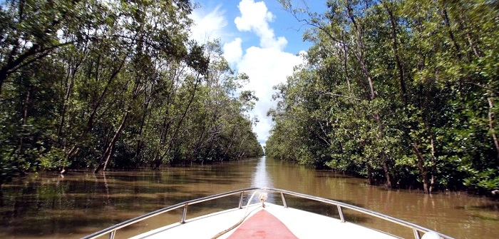 Khám phá Cồn Ông Trang (Cà Mau)