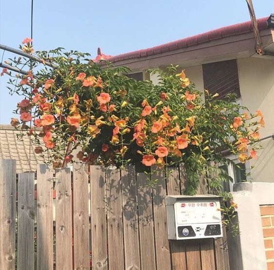 Tử vi 12 con giáp ngày 20/4/2023: Tuổi Tỵ tinh thần hăng hái, tuổi Dần hạn chế nóng nảy
