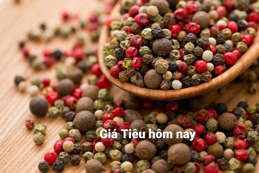 Giá tiêu hôm nay 14/12: Điều chỉnh giảm