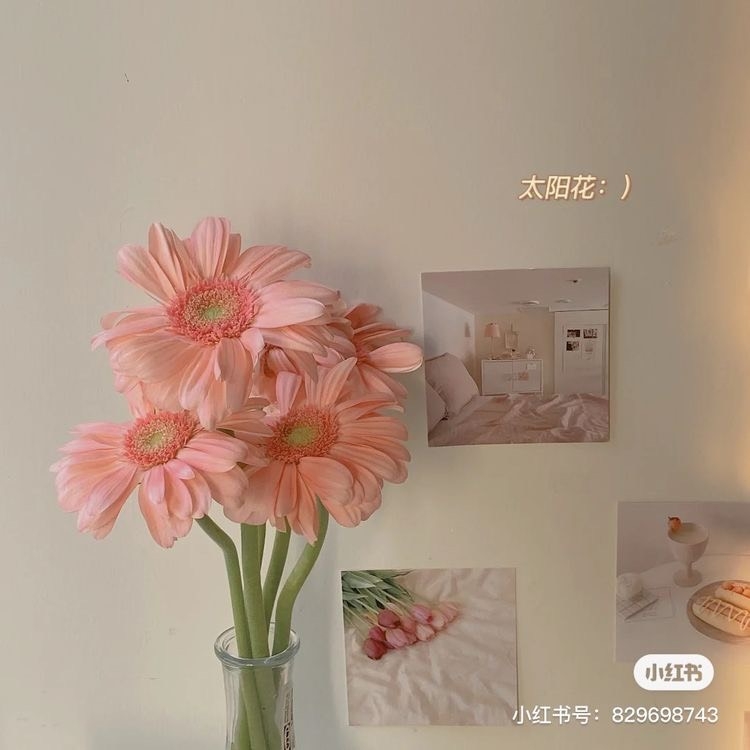 Tử vi 12 con giáp ngày 22/5/2023: Tuổi Sửu không suôn sẻ, tuổi Dậu đón điều tốt đẹp
