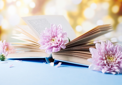 Tử vi ngày 26/4/2023 của 12 cung hoàng đạo: Kim Ngưu thể hiện năng lực, Bọ Cạp căng thẳng