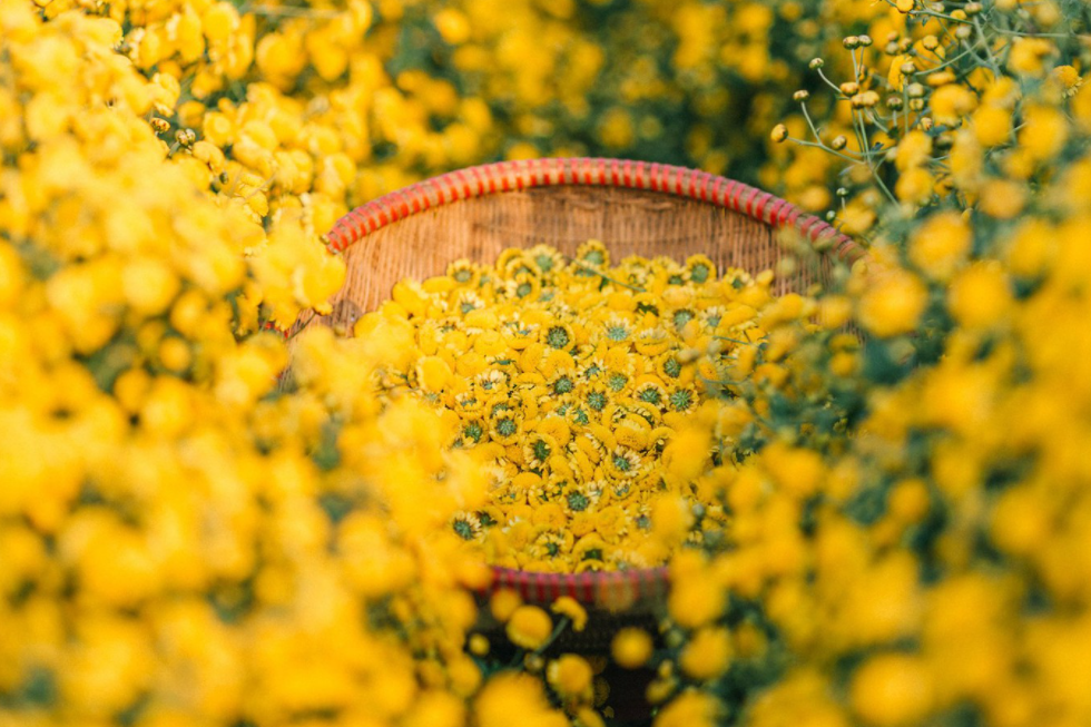 Tử vi ngày 20/12/2022: Tuổi Dần đón lộc về tay, tuổi Mão tình duyên vượng sắc Tử vi ngày 20/12/2022: Tuổi Dần đón lộc về tay, tuổi Mão tình duyên vượng sắc