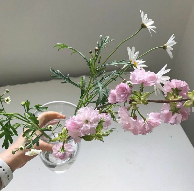 Tử vi 12 con giáp ngày 30/5/2023: Tuổi Dần đụng độ tiểu nhân, tuổi Hợi kinh doanh thuận lợi