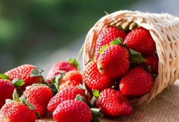 Top các loại trái cây là nguồn cung cấp collagen tuyệt vời cho làn da