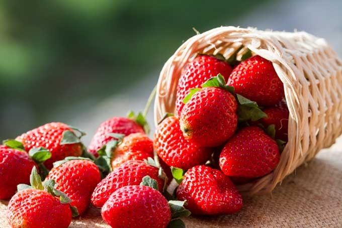 Top các loại trái cây là nguồn cung cấp collagen tuyệt vời cho làn da