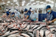 Xuất khẩu sang các nước thành viên CPTPP tăng trưởng ấn tượng