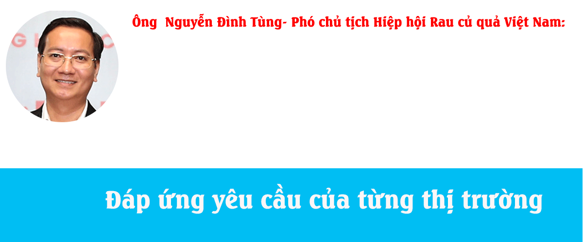 Xuất khẩu xanh - "Luật chơi" mới