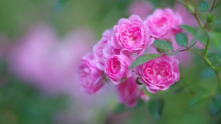 Tử vi tuần mới 18/12 - 24/12/2023: Tuổi Tý hung cát đan xen, tuổi Tuất trăm bề thuận lợi Tử vi tuần mới 18/12 - 24/12/2023: Tuổi Tý hung cát đan xen, tuổi Tuất trăm bề thuận lợi