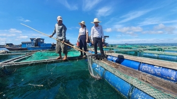 Tiếp sức cho nông nghiệp nông thôn phát triển bền vững