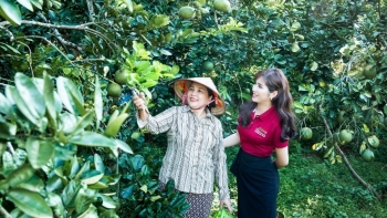 Agribank tự hào khẳng định vai trò ngân hàng chủ lực đối với "trụ đỡ" nền kinh tế