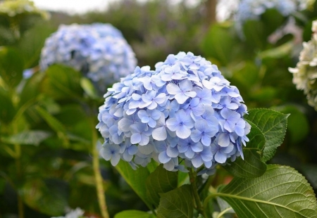 Tử vi ngày 29/6/2023 của 12 cung hoàng đạo: Cự Giải kiểm soát cảm xúc, Xử Nữ khiêm tốn