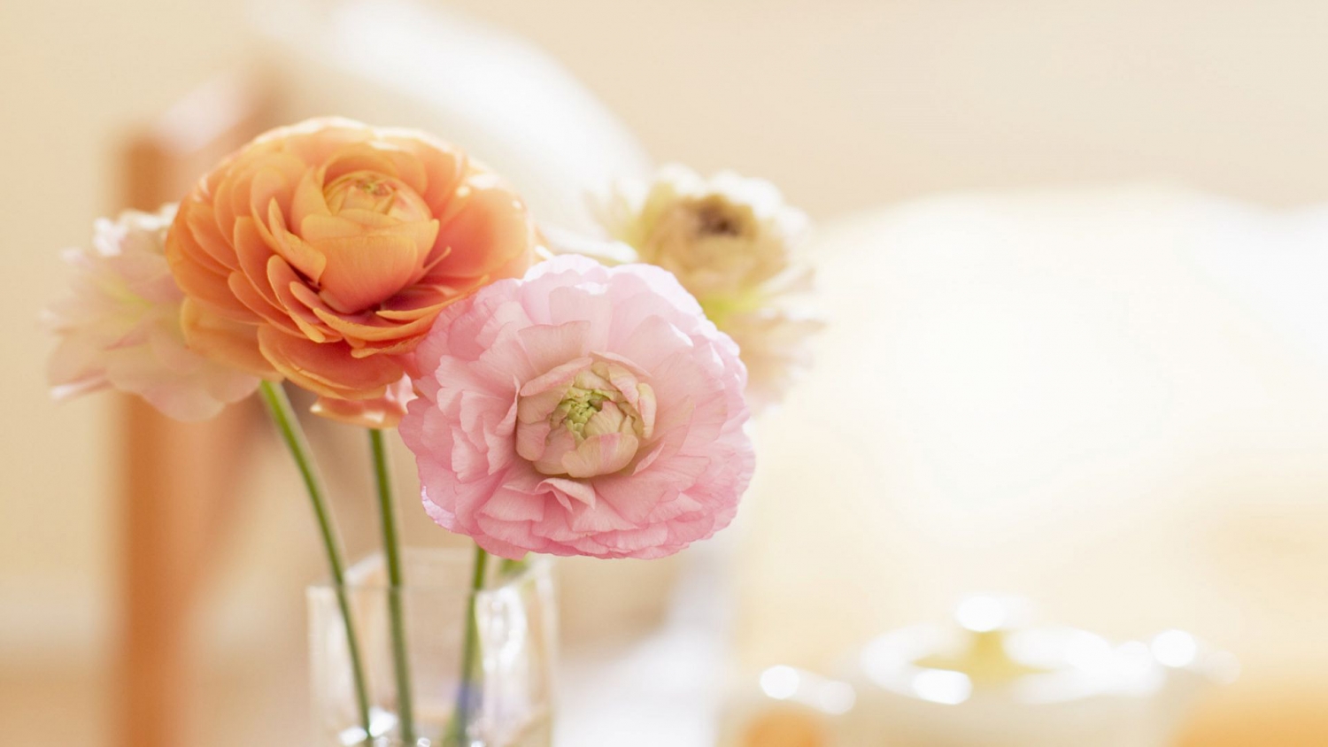 Tử vi ngày 2/7/2023 của 12 cung hoàng đạo: Cự Giải mạnh mẽ, Ma Kết cần bứt phá